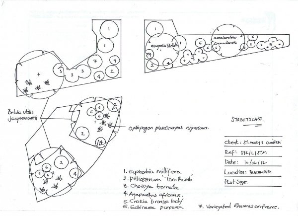 streetscape_plantingplan_stmaryschurch_10-02-12