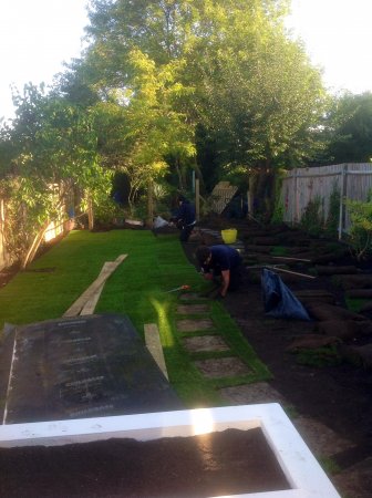 jay-fitting-carpet-of-grass